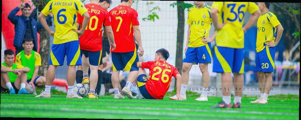 四个极细线条图标，分别代表账号信息、开奖数据、统计读法和内容纠错